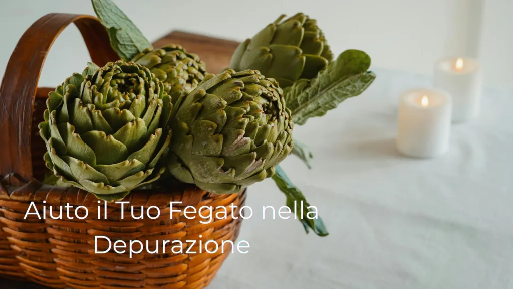 Carciofo (Cynara scolymus)