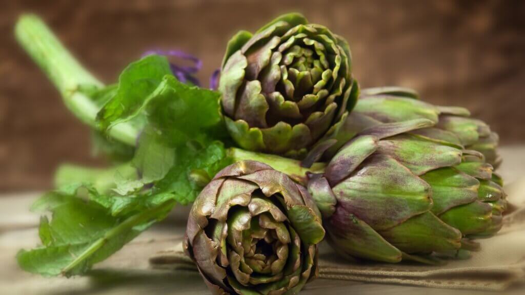 Carciofo (Cynara scolymus)