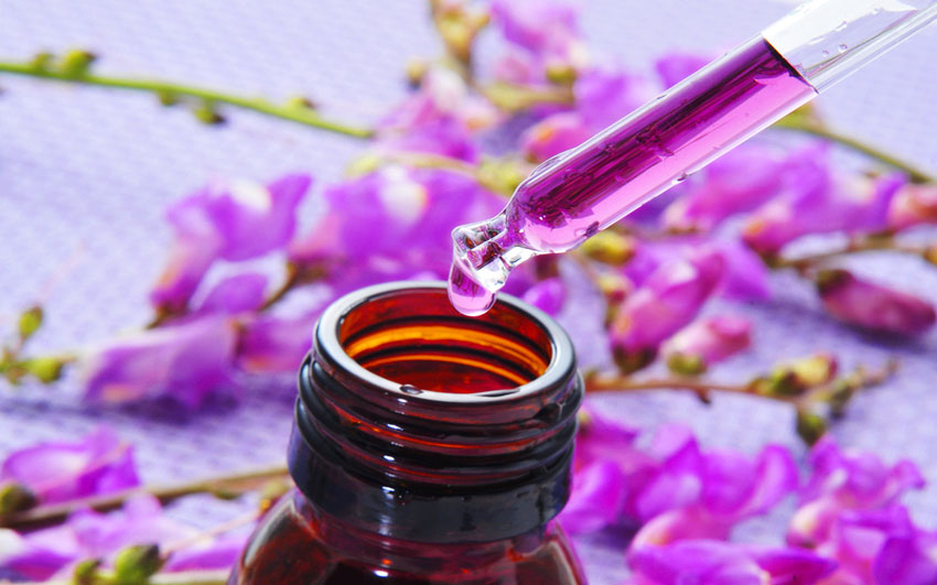 Test dell’Emozione Ponte