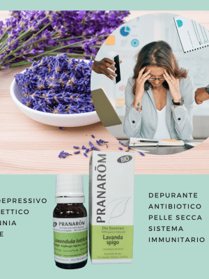 Olio Essenziale Lavanda Spica - 10 ml Pranarom