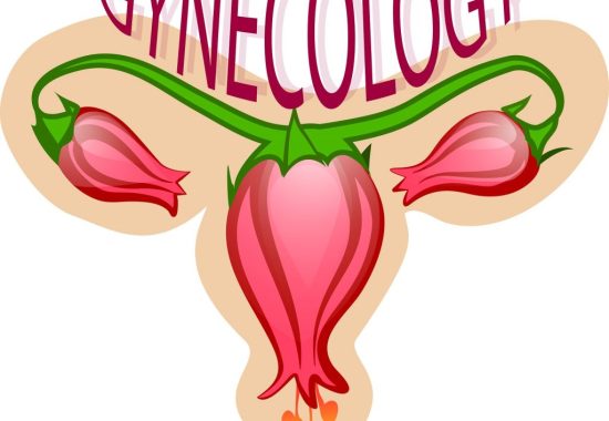 ginecologia