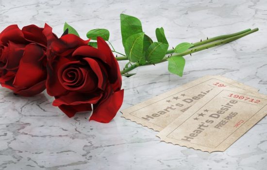 rose rosse 2